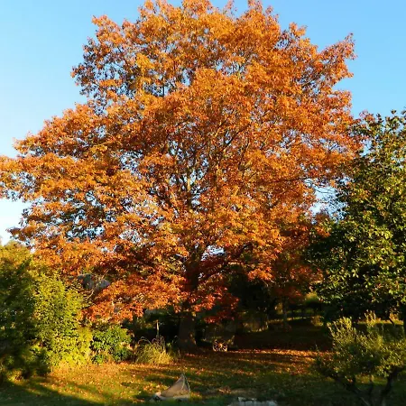 Frühstückspension Centre De Bien-etre Et Ses D'hote Villeneuve-de-Rivière