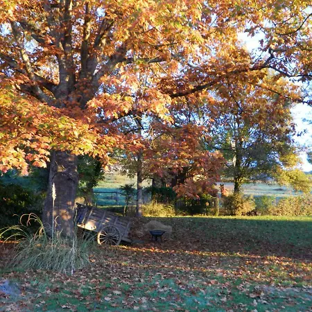 Bed and breakfast Centre De Bien-etre Et Ses D'hote Villeneuve-de-Rivière